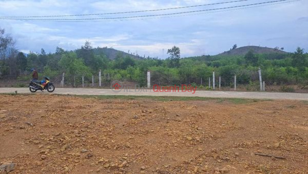 Real Owner Land Shockingly Cheap Price only 890 million - FULL Residential Land in Khanh Binh - Khanh Vinh! Sales Listings