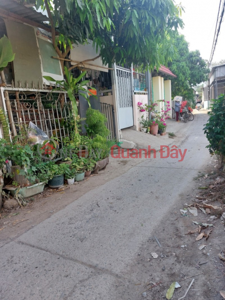 Property Search Vietnam | OneDay | Nhà ở | Niêm yết bán | Bán nhà riêng Quốc Lộ 50 Đa Phước 191m2 cấp 4 Bình Chánh chỉ 4,2 tỷ