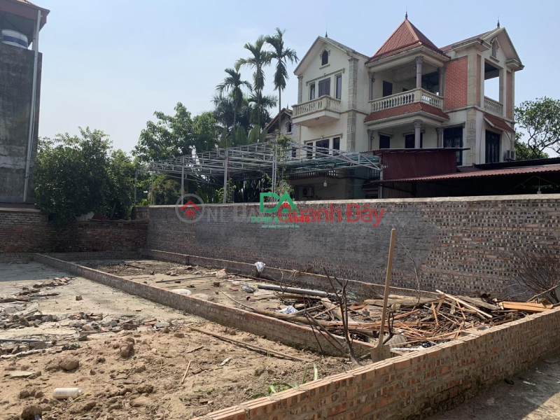 Property Search Vietnam | OneDay | Residential | Sales Listings Selling 63m of land in Thuong village, Uy No commune, in the center of Dong Anh district, cheap price