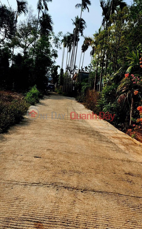 BEAUTIFUL LAND - GOOD PRICE - OWNER For Sale 3 Adjacent Lots Nice Location In Ea Tieu, Cu Kuin _0