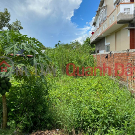 Land for sale in My Tho town, Cao Lanh District _0