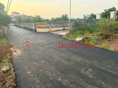 LÔ ĐẤT TUYẾN 2 ĐƯỜNG 361 – TÂN PHONG, KIẾN THỤY – ĐƯỜNG NHỰA Ô TÔ TRÁNH, GIÁ CHỈ 9XX ZALO 0567 222 555 _0