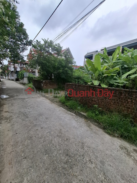 Property Search Vietnam | OneDay | Nhà ở | Niêm yết bán Hiếm !!! Bán đất Xuân Nộn 48m oto tránh thông chỉ nhỉnh 1 tỷ TL. LH: 0936123469