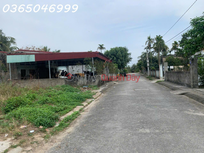 Need to transfer 2 plots of land in Tan Vu 2, Trang Cat, Hai An Sales Listings