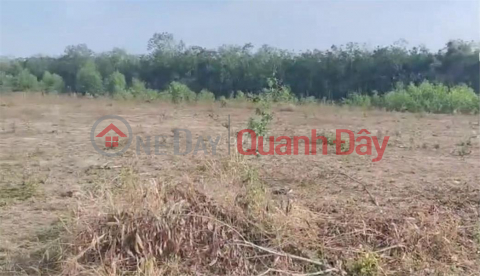 FOR QUICK SALE Beautiful 2 frontage LOT OF LAND Location In Dau Tieng district, Binh Duong province _0