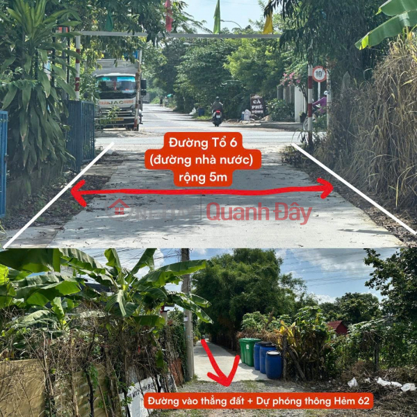 PRIME LAND – GOOD PRICE – OWNER WANTS TO RENT OR SELL A LARGE PLOT OF 18,000m2 (1.8ha) IN BINH MY COMMUNE, HO CHI MINH CITY | Vietnam | Sales | đ 150 Billion