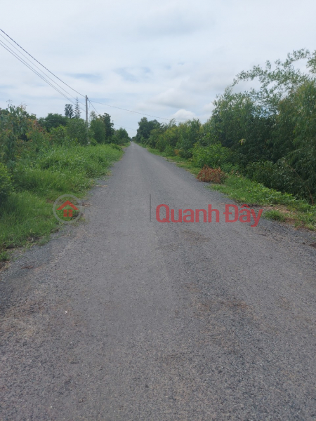 Property Search Vietnam | OneDay | Residential | Sales Listings, BEAUTIFUL LAND - GOOD PRICE - Quick Sale Of Land Lot Of The Owner In Tan Thanh, Long An