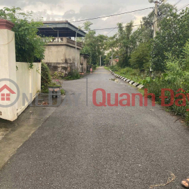 The only F0 in Trung Lieu village – Tien Ngoai commune, a unique masterpiece with no second batch. _0