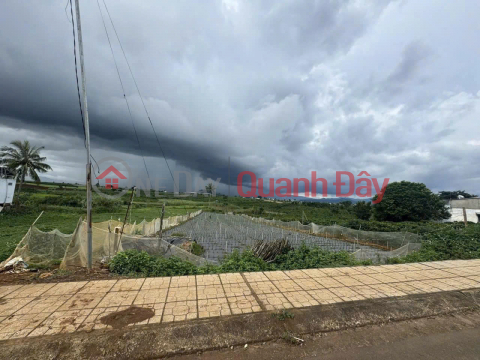 2100m2 land for sale on Road 724, Tan Hoi, Duc Trong, Lam Dong. Price: 5.67 billion VND. _0