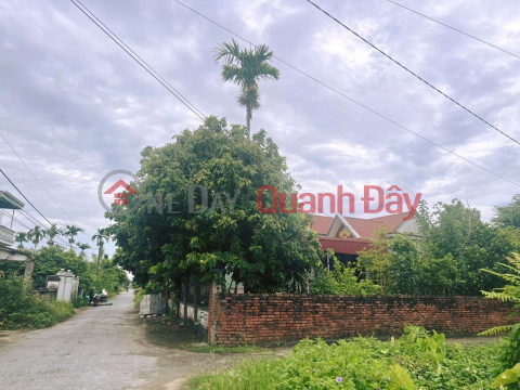 Owner For Sale Land Lot In Tan Phong (tan-9836579309)_0