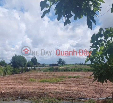 OWNER Needs to Sell Frontage Land in Hiep Thanh Commune, Bac Lieu City _0