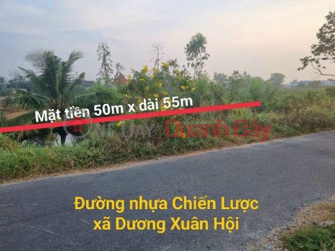 Own 2 Lots Of Rice Land With Strategic Asphalt Front Facade, Duong Xuan Hoi Commune, Chau Thanh - Long An _0