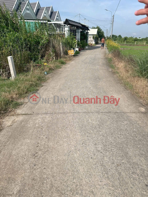 ĐẤT ĐẸP – GIÁ ĐẦU TƯ - CẦN BÁN NHANH LÔ ĐẤT TẠI Xã Mỹ Lộc, Huyện Cần Giuộc, Long An _0
