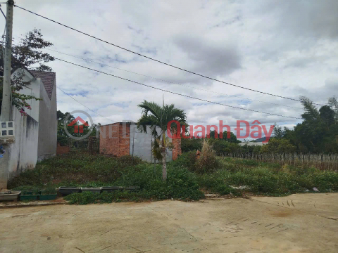 BÁN 115,7m2 Đất - XÃ HIỆP THẠNH - ĐỨC TRỌNG - LÂM ĐỒNG _0
