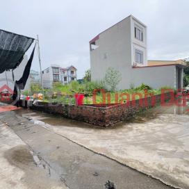 Urgent Sale of Unique Corner Lot with 2 Street Frontages - Good Price in Ap Tre Village, Quang Minh, Hanoi _0