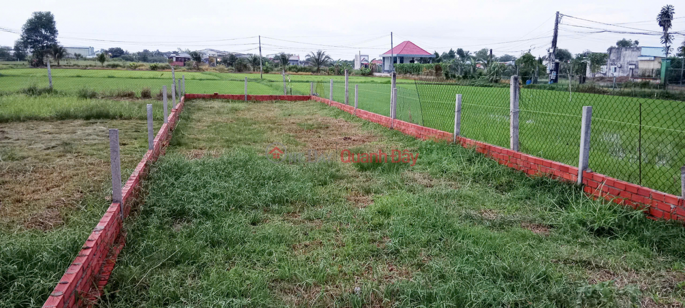 Selling 139m2 of Land, Full Residential Land in My Hanh Bac Commune, Duc Hoa District, Long An Sales Listings