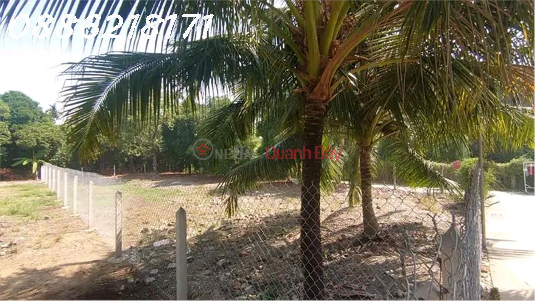 Land for sale by owner 500m2 An Son commune, Thuan An, Binh Duong Area 15.4X28m Residential 100m2 Flat land, Vietnam, Sales đ 4.6 Billion