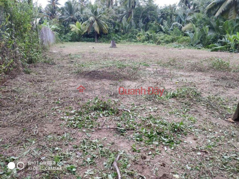 đ 820 Million, Landlord Urgently Needs Sale Land In Tan Phu Tay Commune - Mo Cay Bac - Ben Tre.