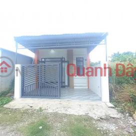 Newly completed house for sale at 156 Nguyen Trung Ngan, An Binh Ward _0