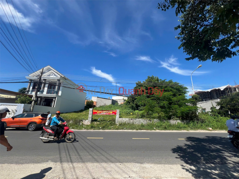 BEAUTIFUL LAND - GOOD PRICE - Owner Needs to Quickly Sell Real Estate in Prime Location in Phan Thiet City, Binh Thuan Province Sales Listings