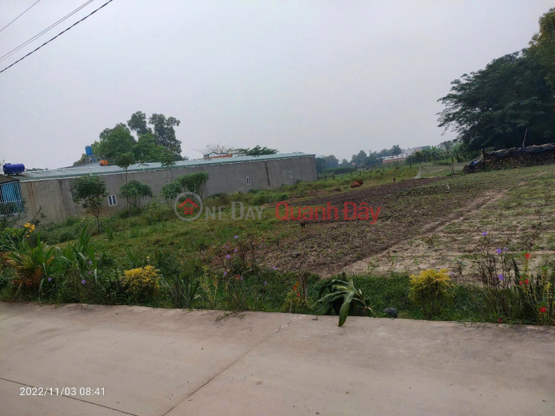, Làm ơn chọn Nhà ở Niêm yết bán, đ 2,25 tỷ
