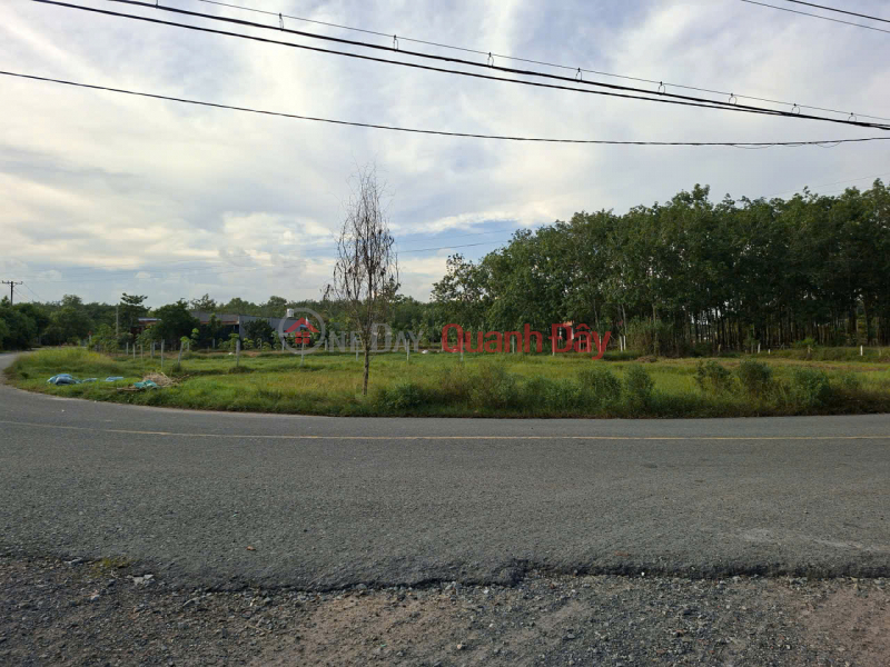 Cần sang gấp lô đất cực đẹp tại hẻm xe tải đường Phú Thuận, xã Phú Mỹ Hưng, huyện Củ Chi, TP.HCM Niêm yết bán