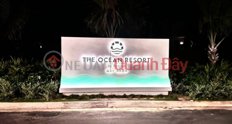 LUXURY BEACHFRONT VILLA – OWNER SELLING VILLA IN CAT TIEN COMMUNE, PHU CAT DISTRICT, BINH DINH PROVINCE _0