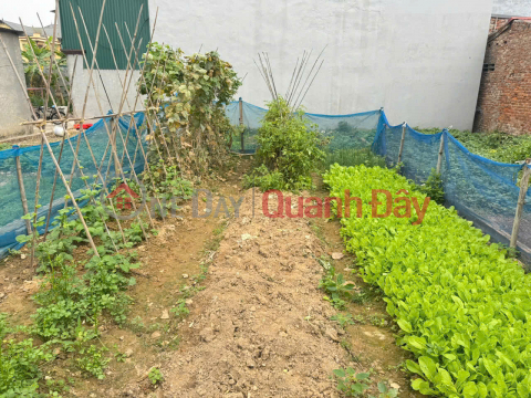 82m² land for sale in Tam Dong, Me Linh, Hanoi. The land is square-shaped and fully residential. Wide frontage. _0