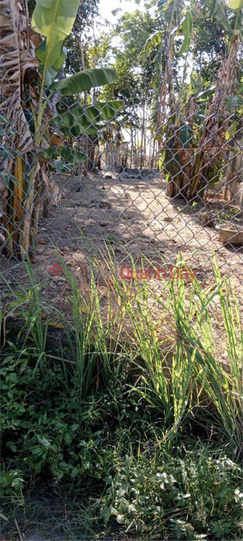 OWNER Needs to Sell a Lot of Land in a Beautiful Location in Hoa Binh Village, Nghia Hoa Commune, Tu Nghia, Quang Ngai _0