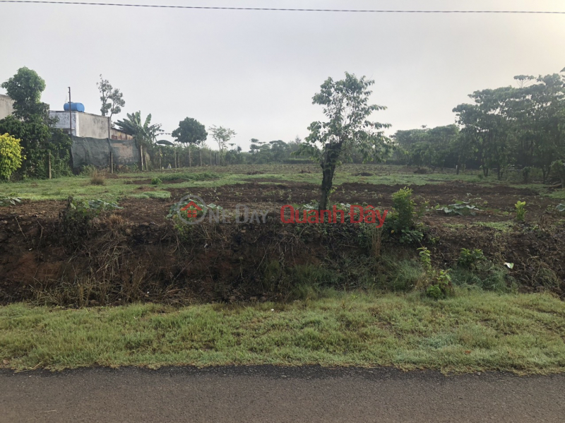 Property Search Vietnam | OneDay | Residential Sales Listings | BEAUTIFUL LAND - GOOD PRICE - Owner Needs to Sell Land in Nice Location in Village 7 Loc Tan - Bao Lam - Lam Dong