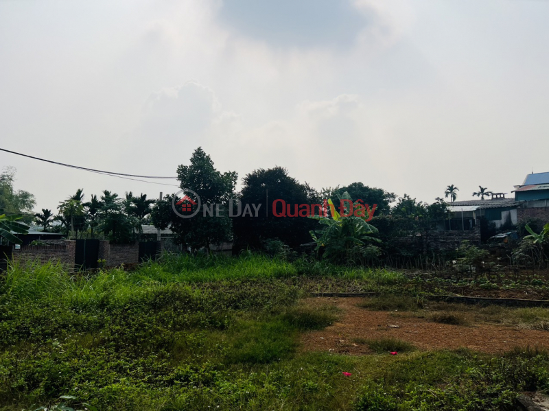 ₫ 15 Million | The owner needs to sell 195m2 of land in Vat Lai commune, Ba Vi, investment price