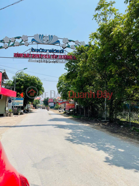 Trinh Xa, Chi Dao, Van Lam auction subdivision for sale, cheapest price on the market _0