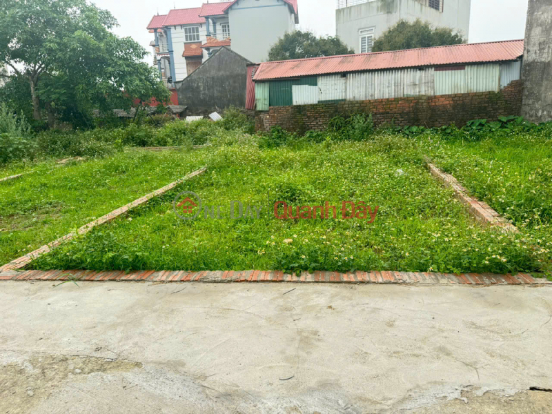 Beautiful land, Group 9, Quang Minh Town, Me Linh. Near Industrial Park and Tue Tinh Medical and Pharmaceutical College | Vietnam, Sales, đ 2.3 Billion