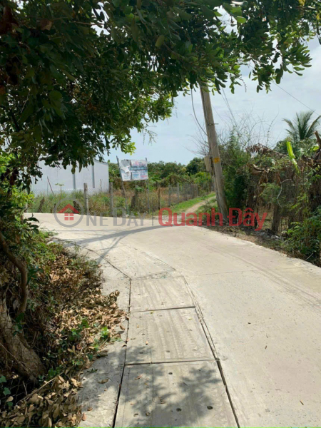 đ 16 Million Land owner needs to sell mango garden plot in Long Hoa commune, Can Gio district, Ho Chi Minh city