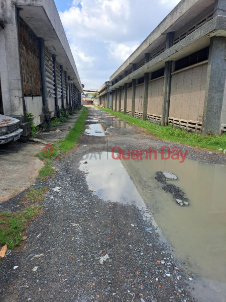 OWNER NEED TO LEASE Land and Warehouse quickly in Binh Chanh Rental Listings