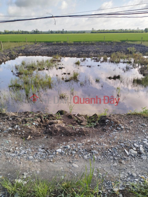 OWNER - FOR SALE Lot of Land in Tan Hung Phuoc Hamlet, Tan Hoa Tay Commune, Tan Phuoc District, Tien Giang _0