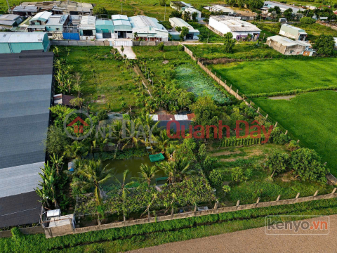LARGE PLOT OF LAND WITH FRONTAGE IN XUAN THOI SON – NEARLY 6400M² – 65M WIDE, WITH RESIDENTIAL LAND TITLE _0