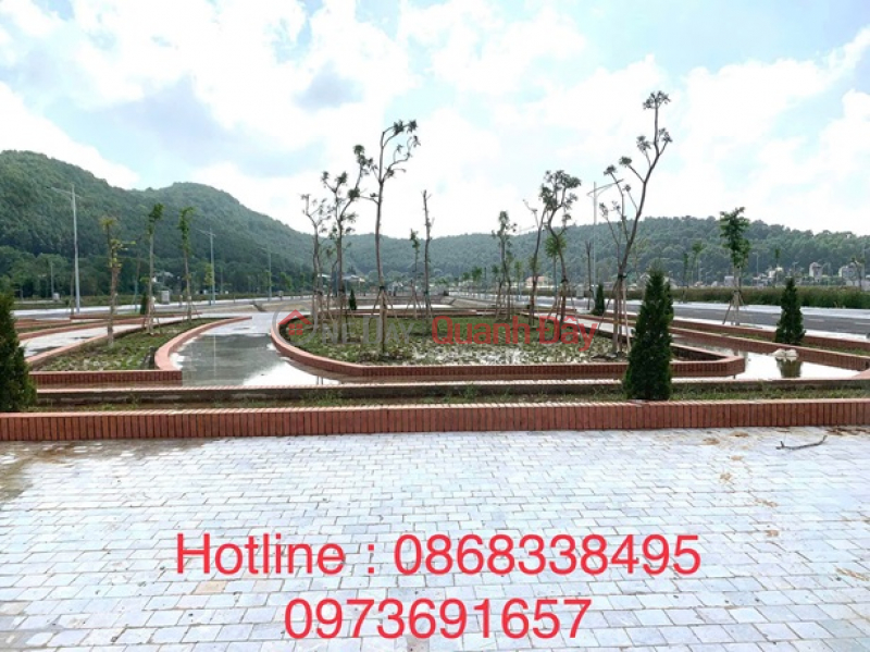 BEAUTIFUL LAND - GOOD PRICE - OWNER NEEDS TO SELL Land Lot In Urban Area 520, Rung Thong Town, Thanh Hoa. Sales Listings