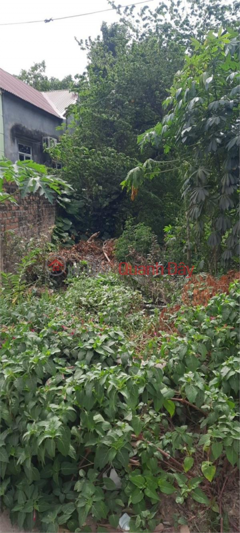 EXTREMELY RARE: a single lot right at Buffalo Bridge, Ba Hang Ward, Pho Yen City, nearly 200m Ful residential land right on 261 Kinh Street _0