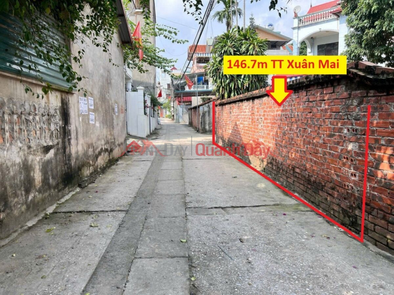 HOT LAND LOT OF 146.7M IN XUAN MAI CENTER - CHUONG MY - HANOI Sales Listings