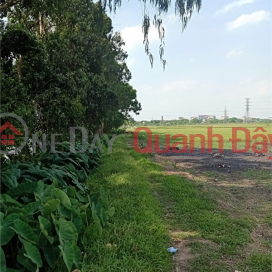 Selling 2.5ha of land for warehouse and factory for 50 years in Bao Dai commune, Luc Nam district, Bac Giang province _0