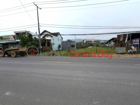Prime land plot on National Highway 20, Ward 3, Bao Loc, with a massive 15m frontage, ideal for business and long-term investment. _0