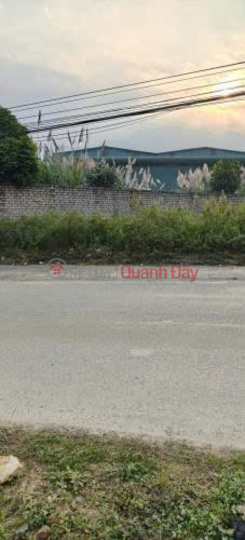 Land for sale, 80m2, in Tien Xuan Commune, Thach That District, Hanoi - Only 50 million VND per m2 - Wide paved road accessible by car. _0