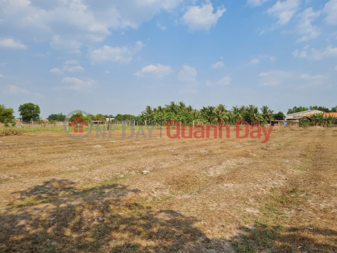Land for sale at the front of Loc Binh 6 street, Loc Giang commune, Duc Hoa District, Long An province _0