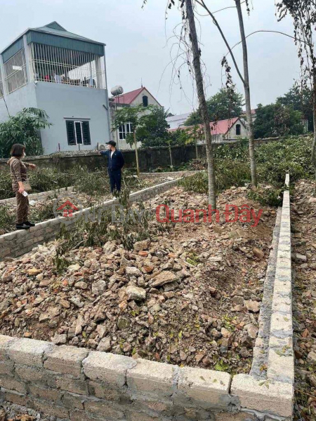 Property Search Vietnam | OneDay | Residential Sales Listings | PRIME LAND - GOOD PRICE - For Quick Sale 2 Adjacent Residential Lots Xuan Khanh Ward, Son Tay, Hanoi