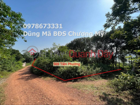 PRICE ONLY 6TY950 TO OWN A LOT OF RESORT LAND FOR A PAIR OF TIEN PHUONG-CHONG MY ARTISTS _0