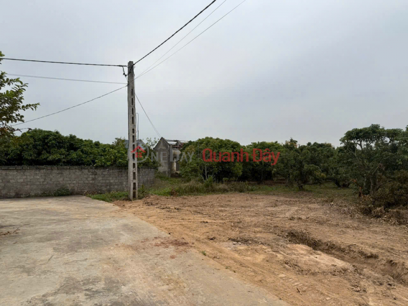 , Làm ơn chọn | Nhà ở | Niêm yết bán đ 700 triệu