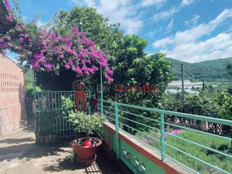 BÁN ĐẤT CAM LY ĐÀ LẠT - 8010M2, 338M2 THỔ CƯ, QUY HOẠCH FULL THỔ, GẦN CÁC ĐIỂM DU LỊCH Việt Nam, Bán đ 19 tỷ