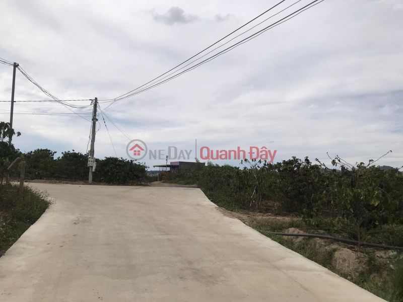 Land for sale in Ninh Gia, Duc Trong, Lam Dong, 1.3ha, price 14 ty Sales Listings