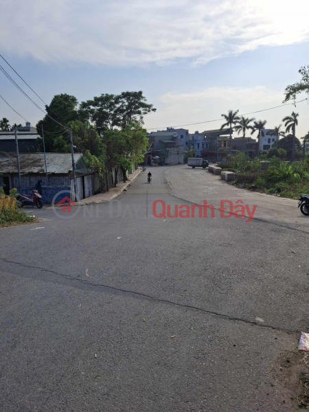 Property Search Vietnam | OneDay | Nhà ở, Niêm yết bán Bán 334m ĐẤT MT 21m,Hạ Trại [ ngõ Thống nhất] LB giá 19 ty phù hợp xây biệt thự sân vườn, VP ,nhà